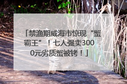 禁渔期威海市惊现“蟹霸王”！七人强卖3000元劣质蟹被铐！