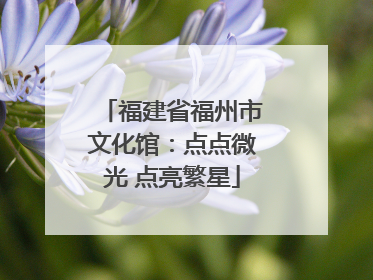 福建省福州市文化馆：点点微光 点亮繁星