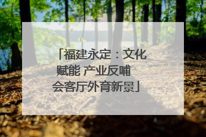 福建永定：文化赋能 产业反哺 会客厅外育新景