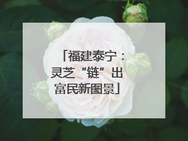 福建泰宁：灵芝“链”出富民新图景