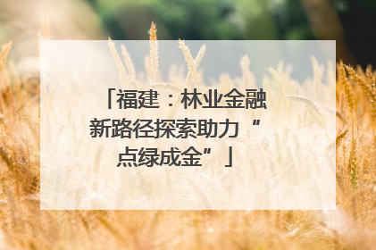 福建：林业金融新路径探索助力“点绿成金”