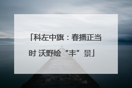 科左中旗：春播正当时 沃野绘“丰”景