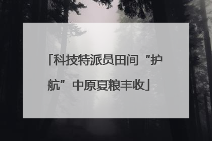 科技特派员田间“护航”中原夏粮丰收