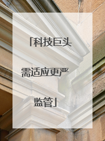 科技巨头需适应更严监管