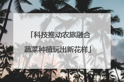 科技推动农旅融合 蔬菜种植玩出新花样
