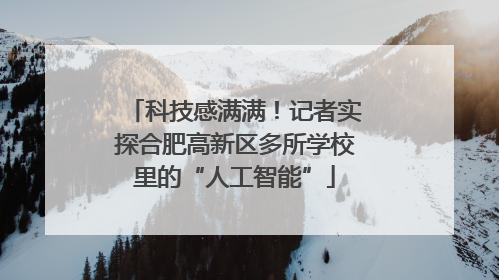 科技感满满！记者实探合肥高新区多所学校里的“人工智能”