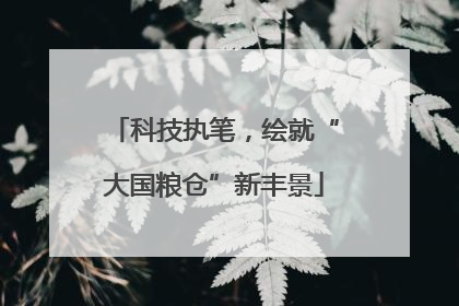 科技执笔，绘就“大国粮仓”新丰景