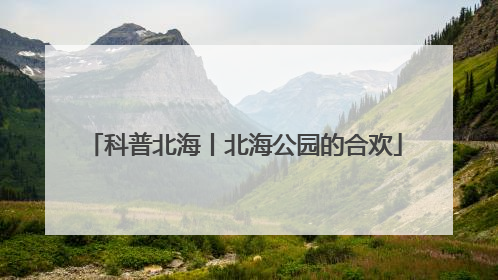 科普北海丨北海公园的合欢