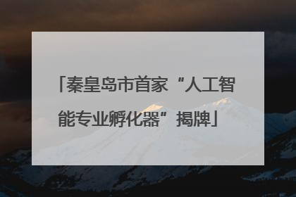 秦皇岛市首家“人工智能专业孵化器”揭牌