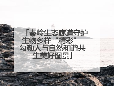 秦岭生态廊道守护生物多样“精彩” 勾勒人与自然和谐共生美好图景