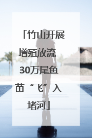 竹山开展增殖放流 30万尾鱼苗“飞”入堵河