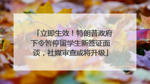 立即生效！特朗普政府下令暂停留学生新签证面谈，社媒审查或将升级