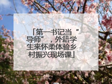 第一书记当“导师”，外籍学生来怀柔体验乡村振兴现场课