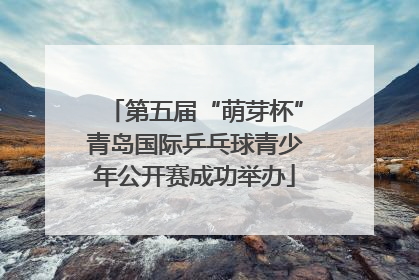 第五届“萌芽杯”青岛国际乒乓球青少年公开赛成功举办