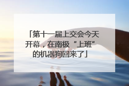 第十一届上交会今天开幕，在南极“上班”的机器狗回来了