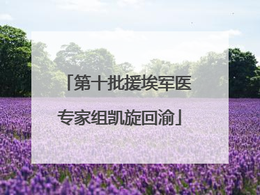 第十批援埃军医专家组凯旋回渝
