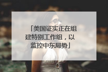 美国证实正在组建特别工作组，以监控中东局势