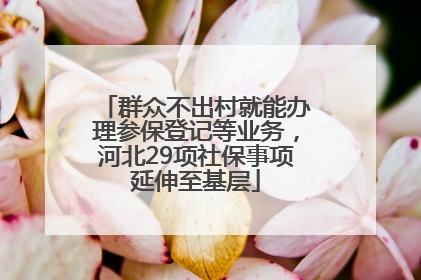 群众不出村就能办理参保登记等业务，河北29项社保事项延伸至基层