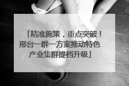 精准施策，重点突破！邢台一群一方案推动特色产业集群提档升级