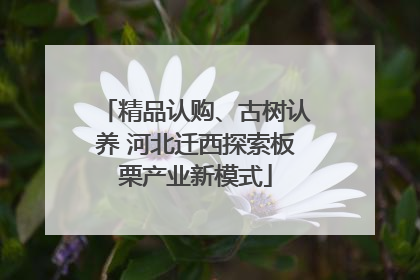 精品认购、古树认养 河北迁西探索板栗产业新模式