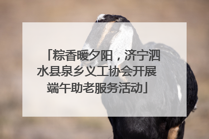 粽香暖夕阳，济宁泗水县泉乡义工协会开展端午助老服务活动