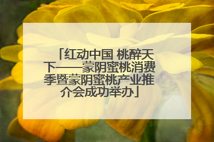 红动中国 桃醉天下——蒙阴蜜桃消费季暨蒙阴蜜桃产业推介会成功举办