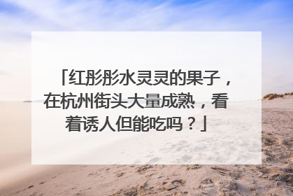 红彤彤水灵灵的果子，在杭州街头大量成熟，看着诱人但能吃吗？