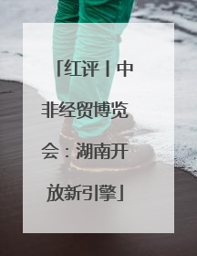 红评丨中非经贸博览会：湖南开放新引擎