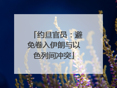 约旦官员：避免卷入伊朗与以色列间冲突