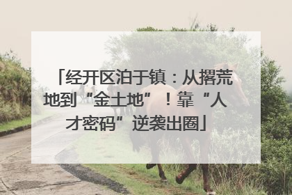 经开区泊于镇：从撂荒地到“金土地”！靠“人才密码”逆袭出圈