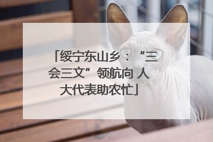 绥宁东山乡：“三会三文”领航向 人大代表助农忙