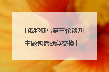 俄称俄乌第三轮谈判主题包括战俘交换
