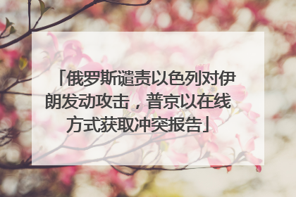 俄罗斯谴责以色列对伊朗发动攻击，普京以在线方式获取冲突报告