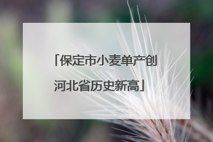 保定市小麦单产创河北省历史新高