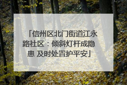 信州区北门街道江永路社区：倾斜灯杆成隐患 及时处置护平安