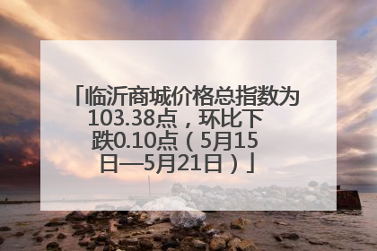 临沂商城价格总指数为103.38点，环比下跌0.10点（5月15日—5月21日）