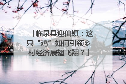 临泉县迎仙镇：这只“鸡”如何引领乡村经济展翅飞翔？
