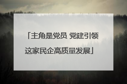 主角是党员 党建引领这家民企高质量发展