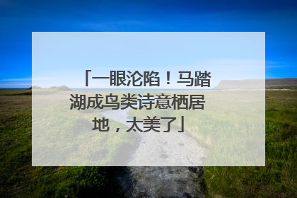 一眼沦陷！马踏湖成鸟类诗意栖居地，太美了