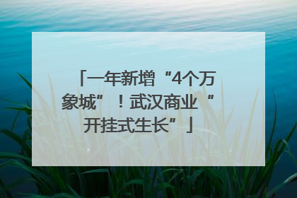 一年新增“4个万象城”！武汉商业“开挂式生长”