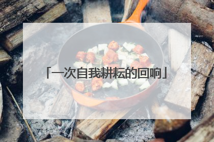 一次自我耕耘的回响