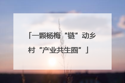一颗杨梅“链”动乡村“产业共生圈”