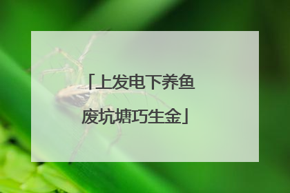 上发电下养鱼 废坑塘巧生金