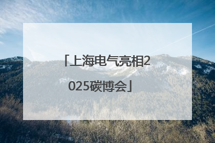 上海电气亮相2025碳博会