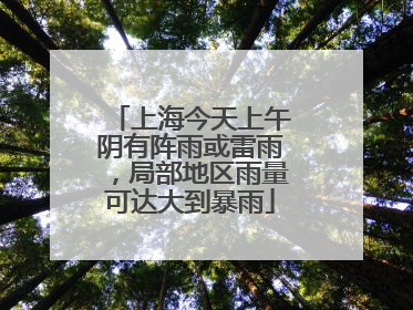 上海今天上午阴有阵雨或雷雨，局部地区雨量可达大到暴雨