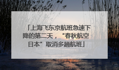 上海飞东京航班急速下降的第二天，“春秋航空日本”取消多趟航班