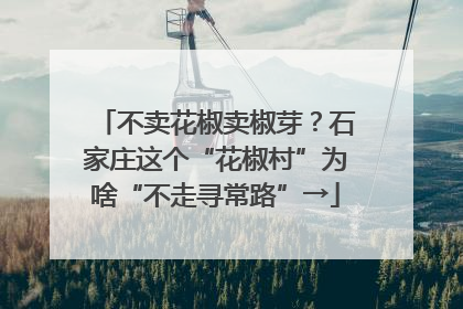 不卖花椒卖椒芽？石家庄这个“花椒村”为啥“不走寻常路”→