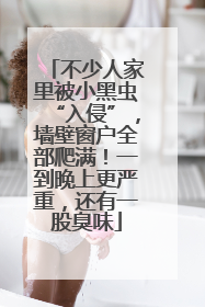 不少人家里被小黑虫“入侵”，墙壁窗户全部爬满！一到晚上更严重，还有一股臭味