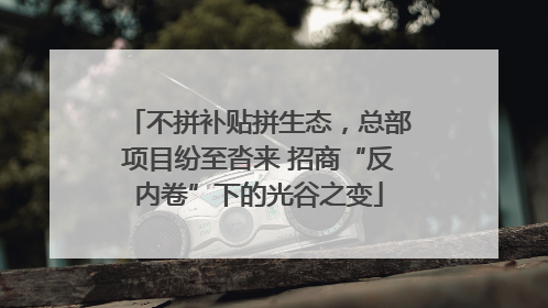 不拼补贴拼生态，总部项目纷至沓来 招商“反内卷”下的光谷之变