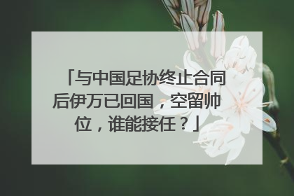 与中国足协终止合同后伊万已回国，空留帅位，谁能接任？